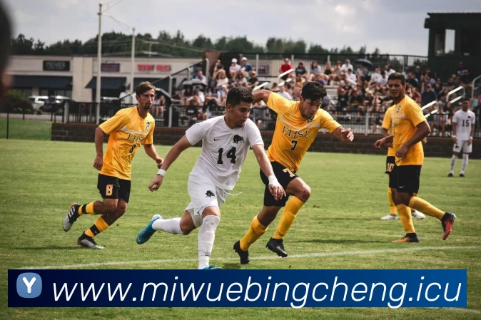 九游9官网 - 九游(中国)品牌故事