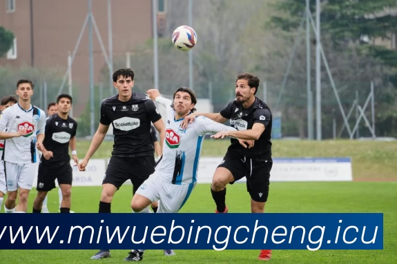 九游9官网 - 九游(中国)APP 体育赛事宣传图